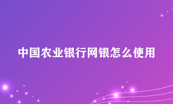 中国农业银行网银怎么使用