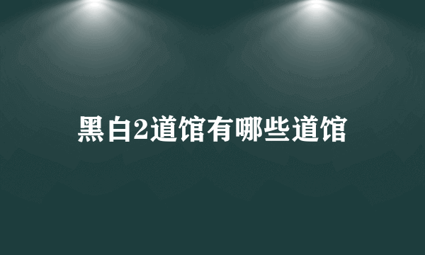 黑白2道馆有哪些道馆