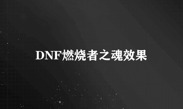 DNF燃烧者之魂效果