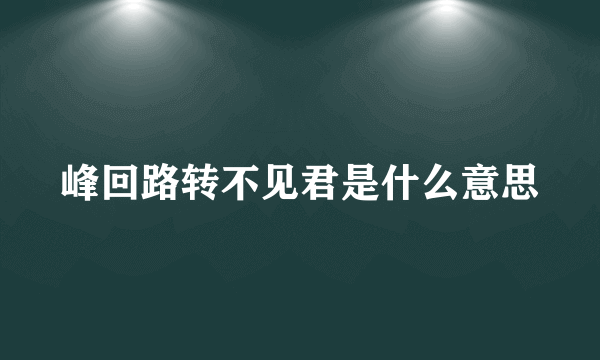 峰回路转不见君是什么意思