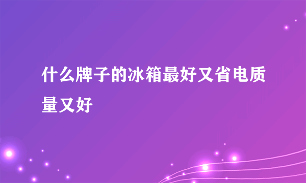 什么牌子的冰箱最好又省电质量又好