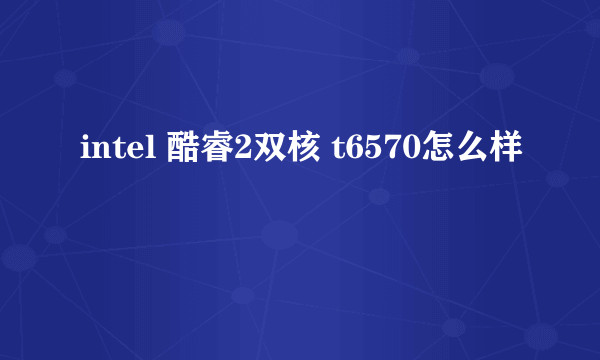 intel 酷睿2双核 t6570怎么样