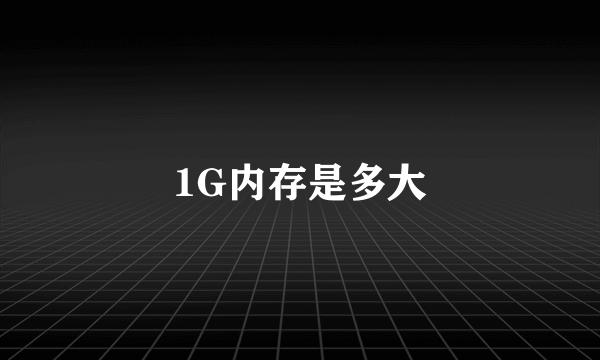 1G内存是多大