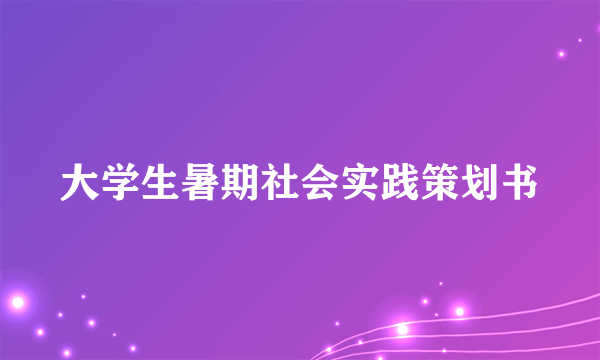 大学生暑期社会实践策划书