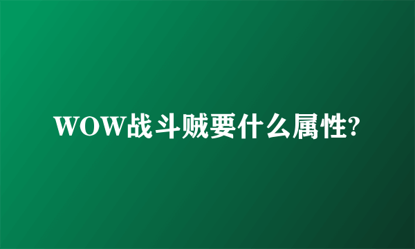 WOW战斗贼要什么属性?