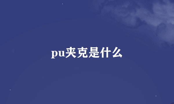 pu夹克是什么