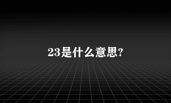 23是什么意思?