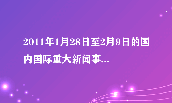 2011年1月28日至2月9日的国内国际重大新闻事件。急啊！悬赏50！！