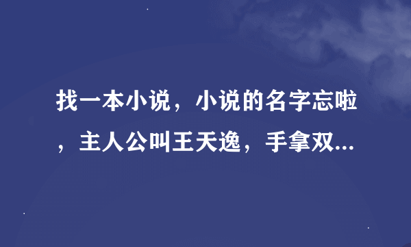 找一本小说，小说的名字忘啦，主人公叫王天逸，手拿双剑，知道的能告诉书名么？