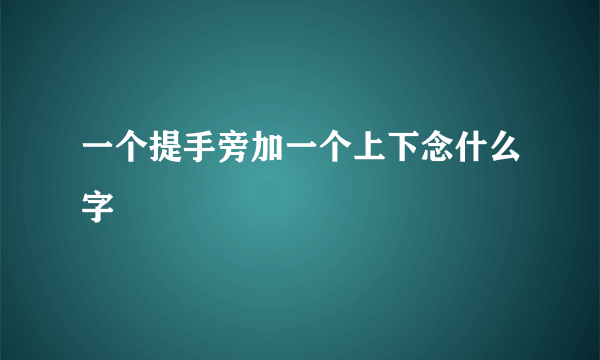 一个提手旁加一个上下念什么字