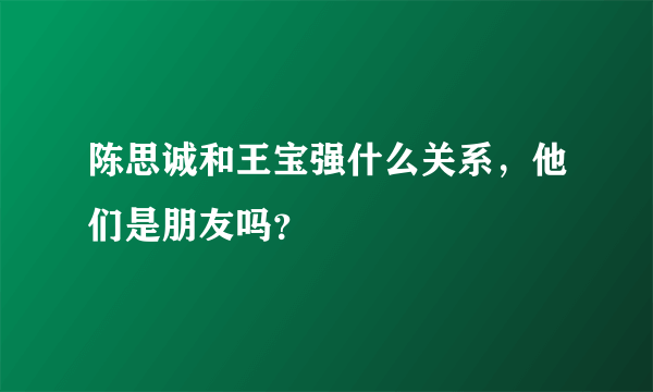 陈思诚和王宝强什么关系，他们是朋友吗？