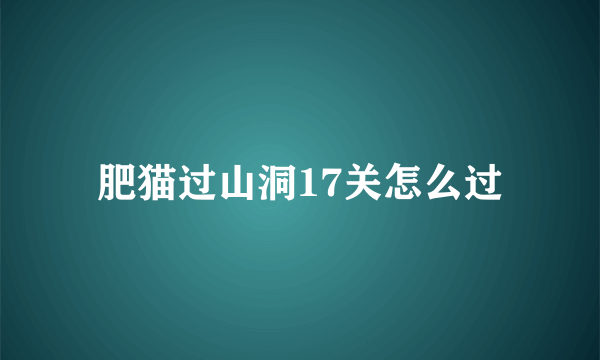 肥猫过山洞17关怎么过