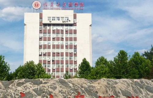 北京大学医学部分数线2021