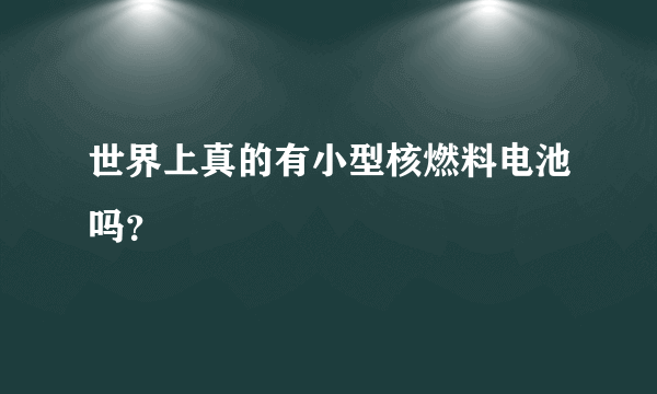 世界上真的有小型核燃料电池吗？