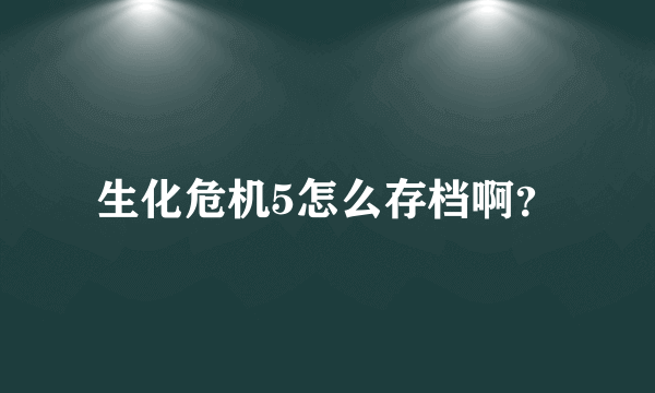 生化危机5怎么存档啊？