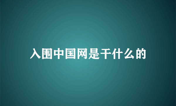 入围中国网是干什么的