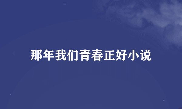 那年我们青春正好小说