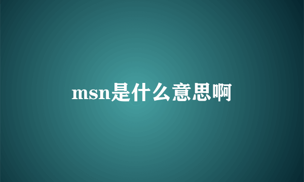 msn是什么意思啊