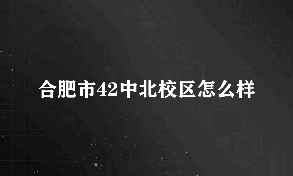 合肥市42中北校区怎么样