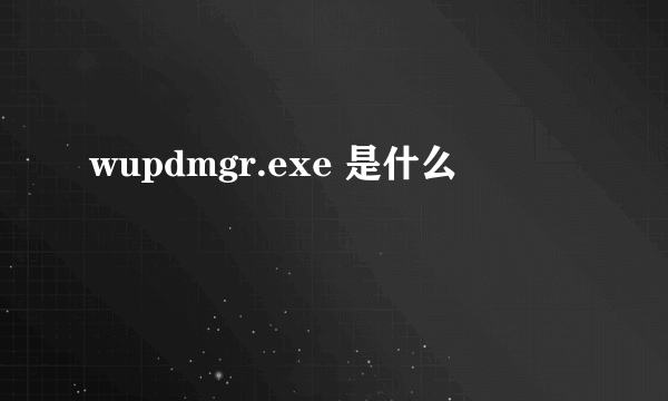 wupdmgr.exe 是什么