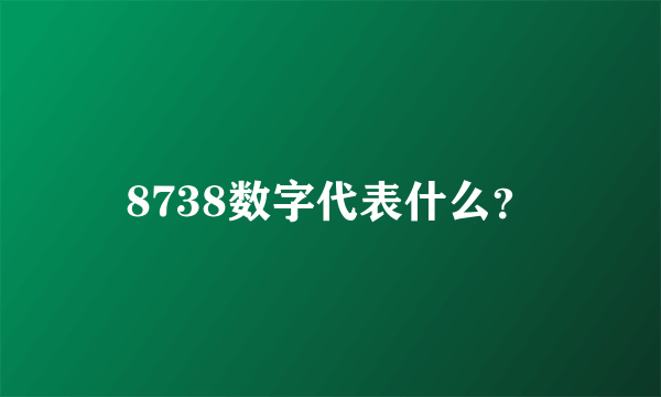 8738数字代表什么？