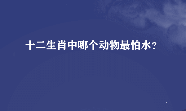 十二生肖中哪个动物最怕水？