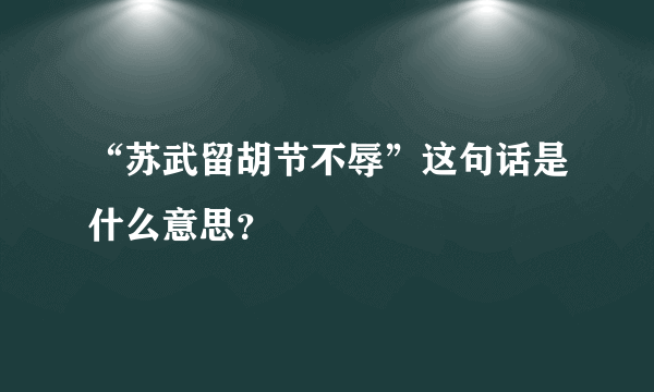 “苏武留胡节不辱”这句话是什么意思？