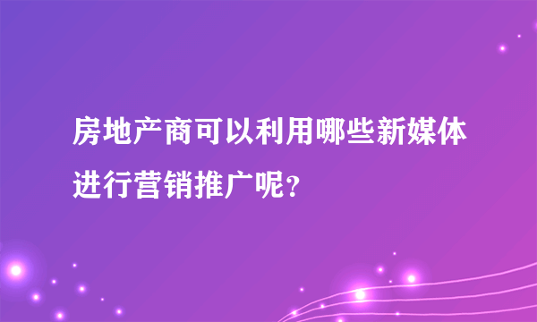 房地产商可以利用哪些新媒体进行营销推广呢？