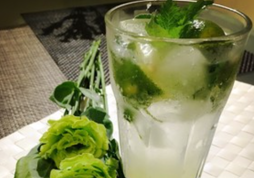 Mojito(莫吉托)怎么调?