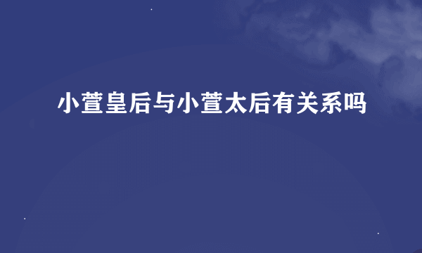 小萱皇后与小萱太后有关系吗