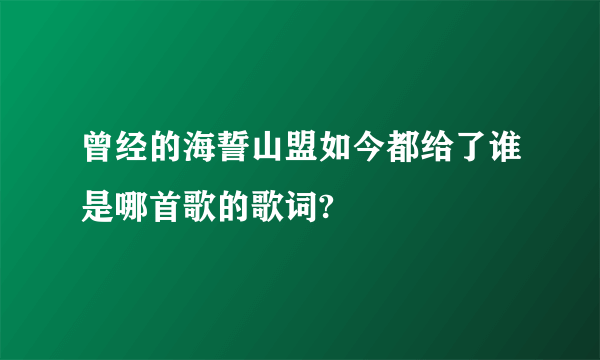 曾经的海誓山盟如今都给了谁是哪首歌的歌词?