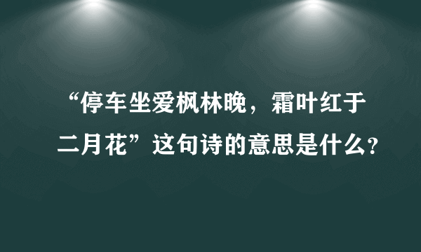 “停车坐爱枫林晚，霜叶红于二月花”这句诗的意思是什么？