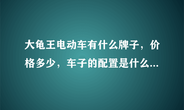 大龟王电动车有什么牌子，价格多少，车子的配置是什么，专业店