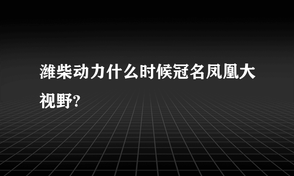 潍柴动力什么时候冠名凤凰大视野?