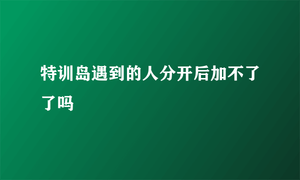 特训岛遇到的人分开后加不了了吗