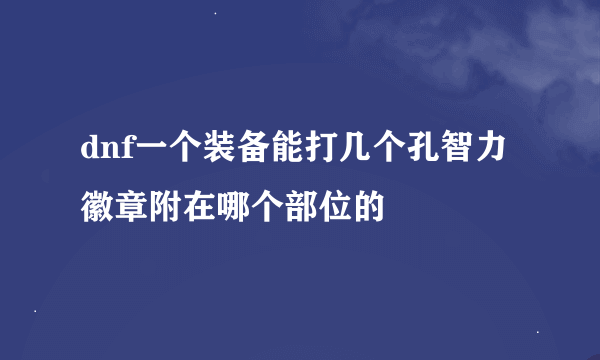 dnf一个装备能打几个孔智力徽章附在哪个部位的