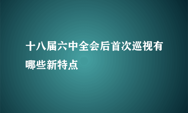 十八届六中全会后首次巡视有哪些新特点