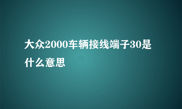 大众2000车辆接线端子30是什么意思