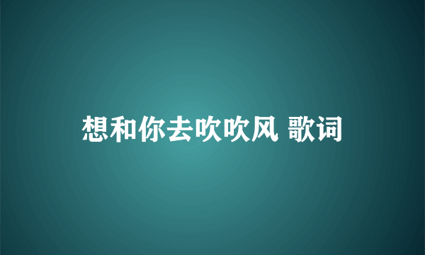 想和你去吹吹风 歌词