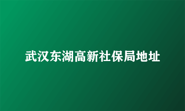 武汉东湖高新社保局地址