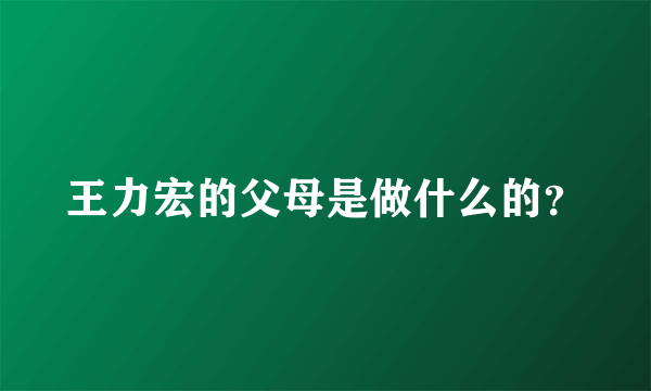 王力宏的父母是做什么的？