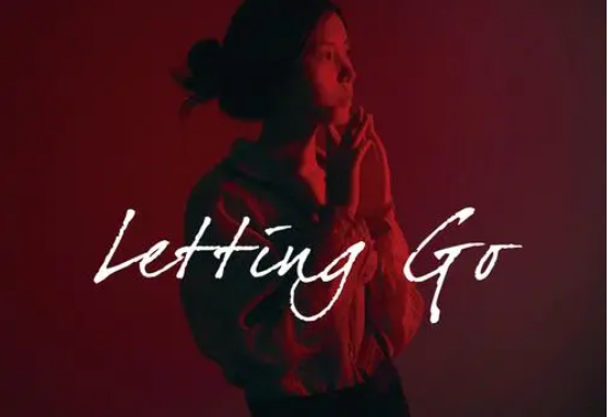 letting go 什么意思