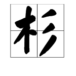 “杉”字怎么组词？