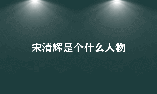 宋清辉是个什么人物