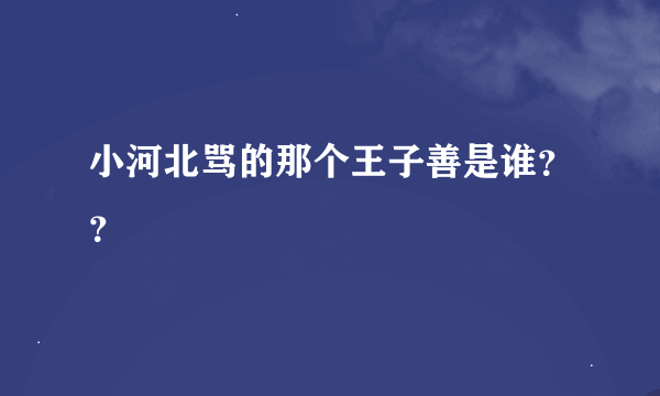 小河北骂的那个王子善是谁？？