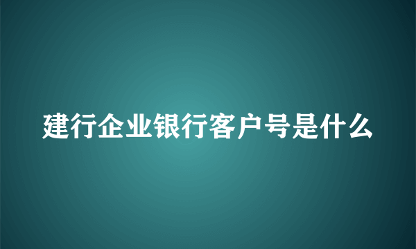 建行企业银行客户号是什么