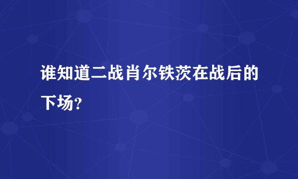 谁知道二战肖尔铁茨在战后的下场？