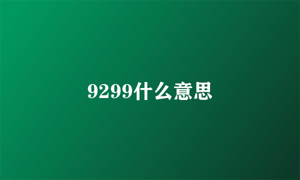 9299什么意思