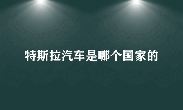 特斯拉汽车是哪个国家的