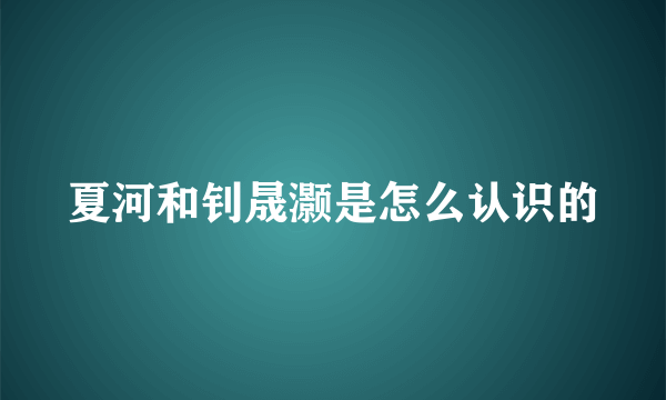 夏河和钊晟灏是怎么认识的